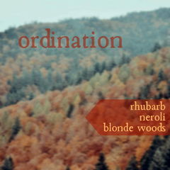 Ordination von Stone & Wit