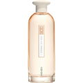 Cèdre Secret von Kenzo
