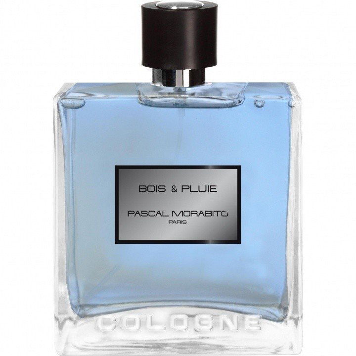Bois & Pluie von Pascal Morabito