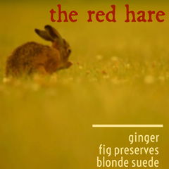 The Red Hare by Stone & Wit