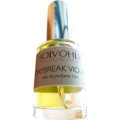 Daybreak Violin von Soivohle