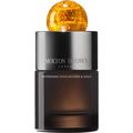 Mesmerising Oudh Accord & Gold (Eau de Parfum)