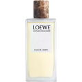 Un Paseo por Madrid - Casa de Campo von Loewe
