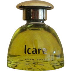 Icare by Arno Sorel