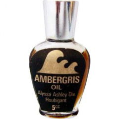 Ambergris (Oil) von Houbigant