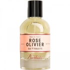 Rose Olivier by Bastide