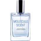 Molecule Scent von Pocket Scents