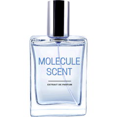 Molecule Scent by Pocket Scents