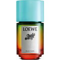 Paula's Ibiza von Loewe