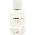 Cardamom by Zara