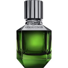 Paradise Found for Men von Roberto Cavalli