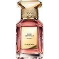 Rose Centifolia Extrait 1 von Guerlain