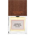 Ambar del Sur von Carner