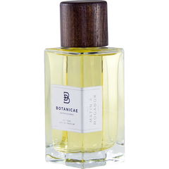Matin A Mogador by Botanicae Expressions