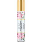 Akira by A Pleasant Thought