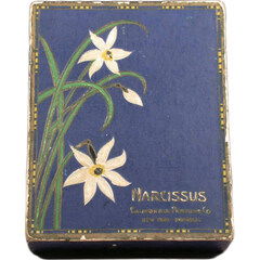 Narcissus by California Perfume Company Narcissus by California Perfume Company