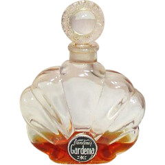 Gardenia von A. A. Vantine & Co.