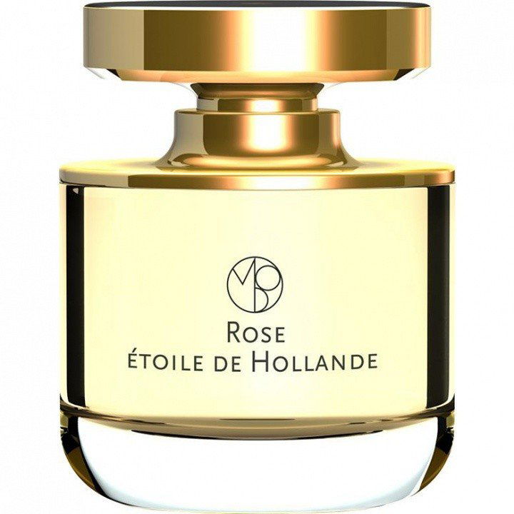 Les Nombres d'Or - Rose Etoile de Hollande von Maison Mona di Orio