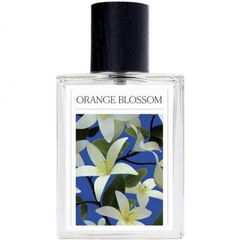 Orange Blossom by The 7 Virtues