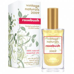 Season of the Witch (Perfume Oil) by Midnight Gypsy Alchemy