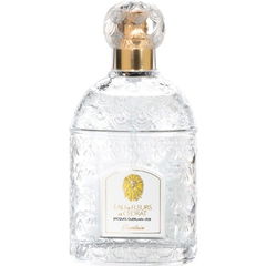Eau de Fleurs de Cédrat