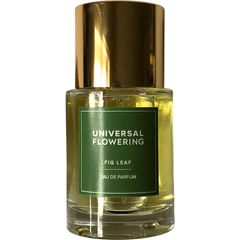 Fig Leaf by Universal Flowering