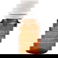 Essential Oil - Grapefruit von Attirance