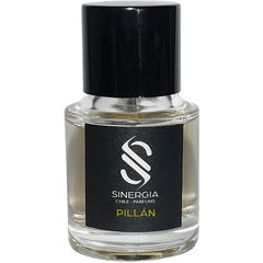 Pillán by Sinergia