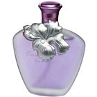 Twice So Nice by Omerta