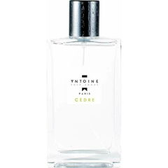 Antoine Cèdre by Antoine Parfums