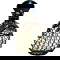 Mega Blue von Black Onyx