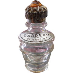 Gardenia von Duvinne