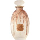 Royal Bouvardia / Royale Bouvardia von Prochaska