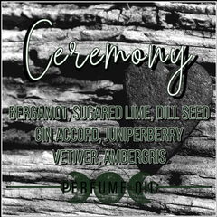 Ceremony by Lurker & Strange