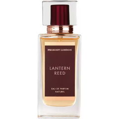 Lantern Reed von Prosody