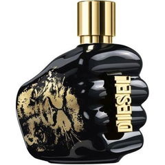 Spirit of the Brave von Diesel