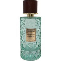 Jasmine Petals & Cedarwood by Indulgent Moments