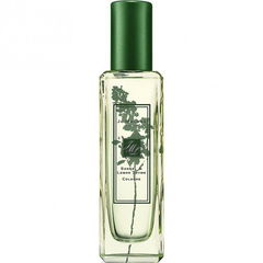 Sorrel & Lemon Thyme von Jo Malone