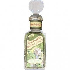 Anna May Bouquet von W. T. Rawleigh