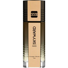 Skyward XVII von Giorgio Monti