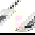 Santal von Fragonard