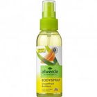 Grapefruit Bambus von Alverde