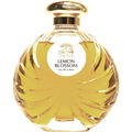 Lemon Blossom von Teone Reinthal Natural Perfume