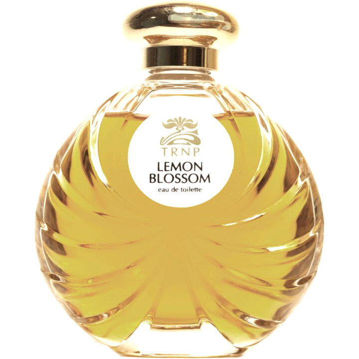 Lemon Blossom von Teone Reinthal Natural Perfume Lemon Blossom von Teone Reinthal Natural Perfume