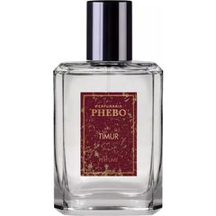 Timur von Phebo
