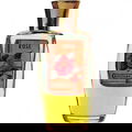 Patra Rose von Gebrüder Kleiner