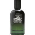 01 Invigorating von Zara