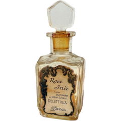 Rose Inès by Delettrez