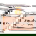 Sanderling Shine von Yves de Sistelle