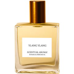 Ylang Ylang by Scentual Aroma